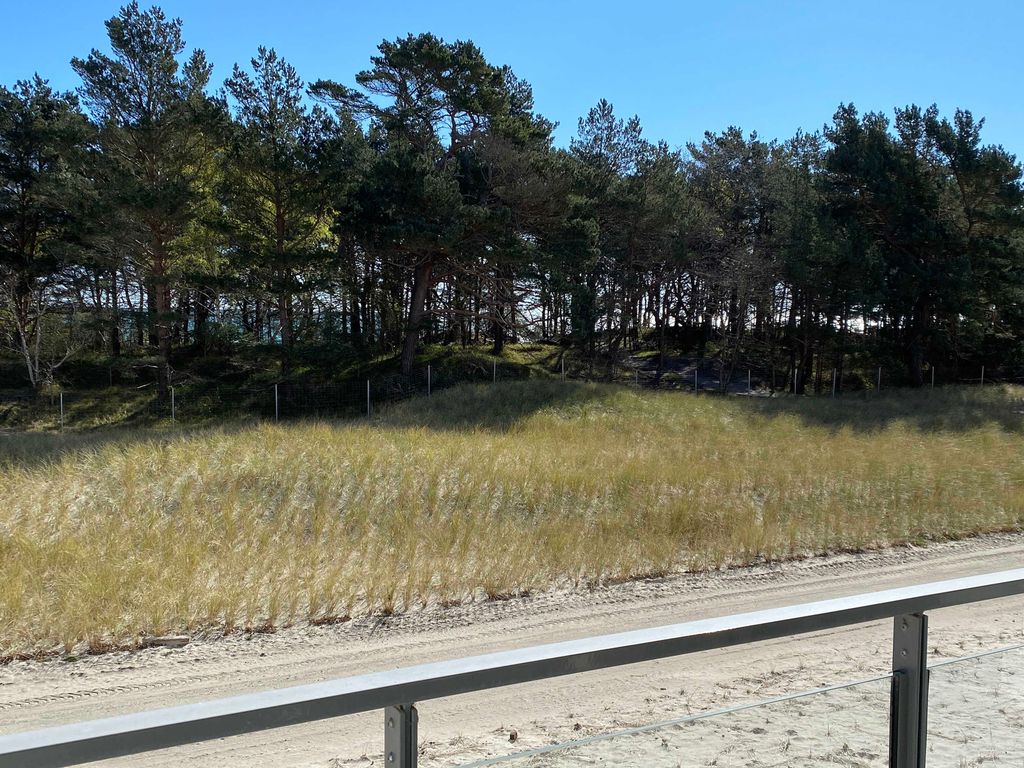 Haus Granitz Prora – Terrasse mit Blick auf Dünen und Kiefern
