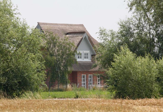 Bild 22