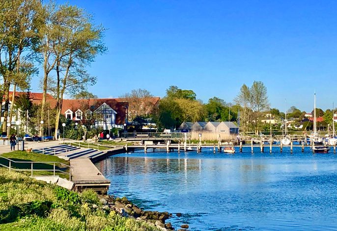 Bild 48