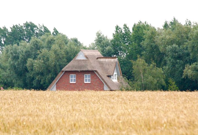 Bild 23
