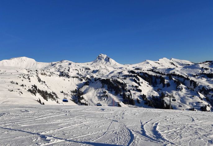 Bild 22