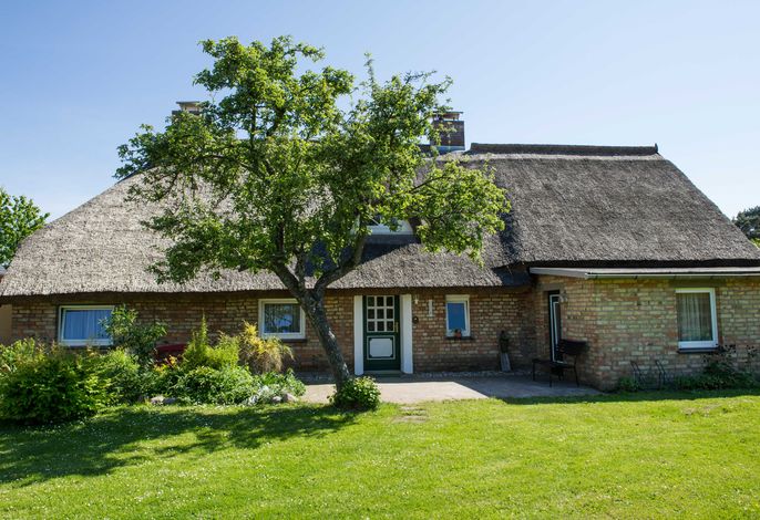 Ferienhaus Augustin mit Reetdach im Ostseebad Baabe