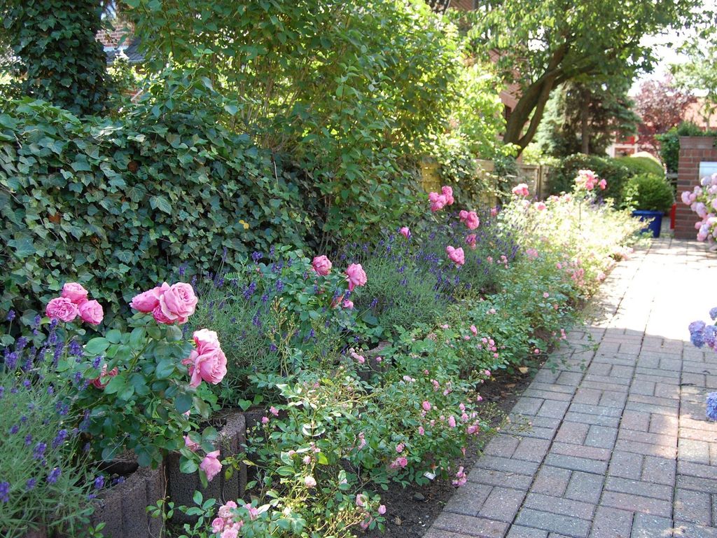 Gartenansicht