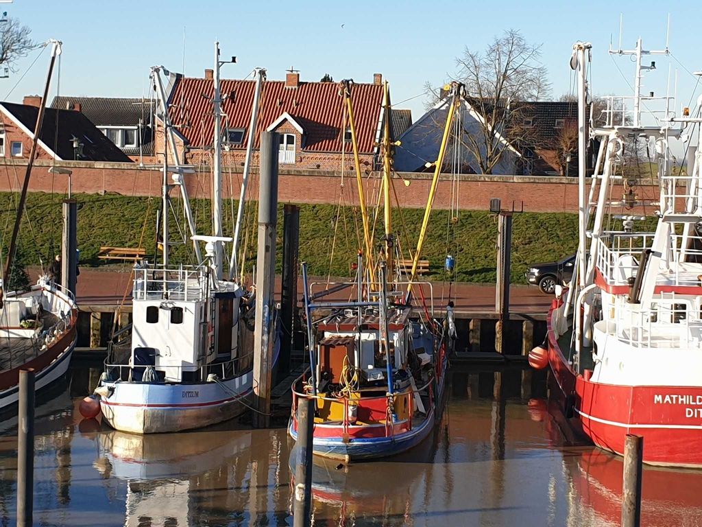 Blick vom Hafen auf das Haus