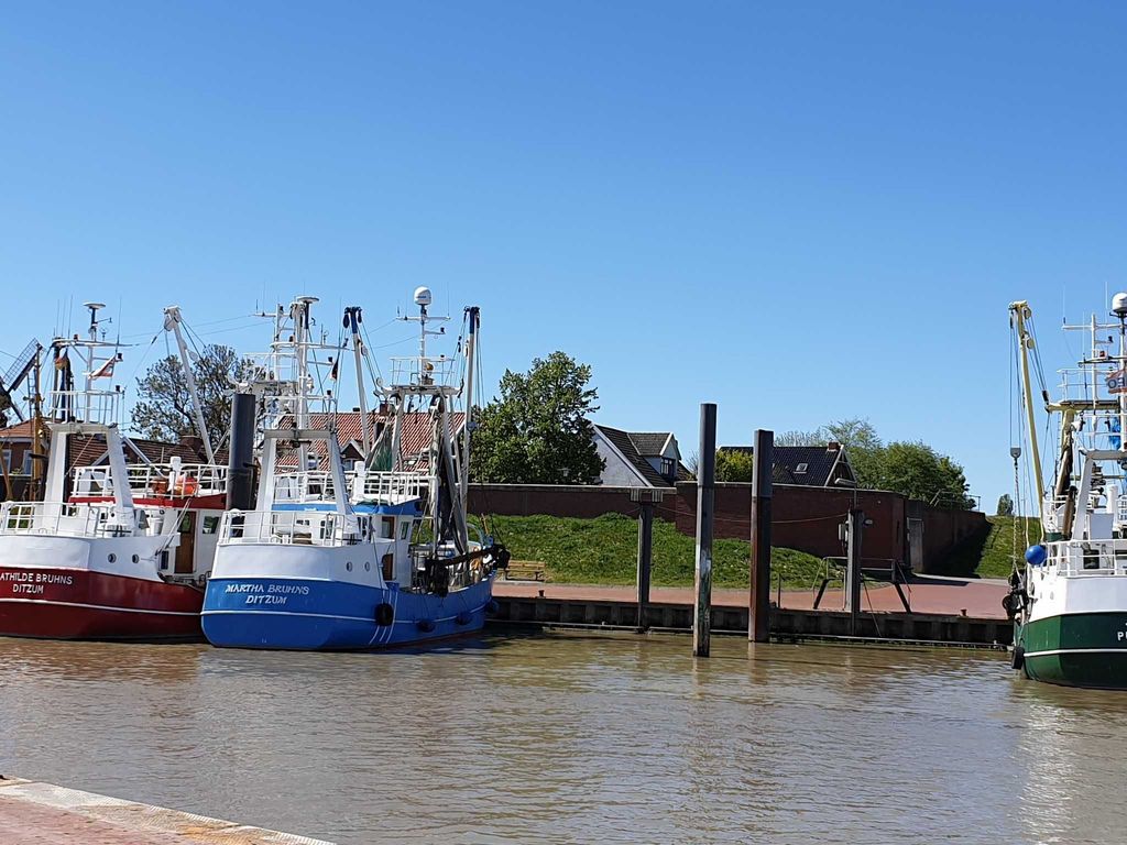 Hafen von Ditzum