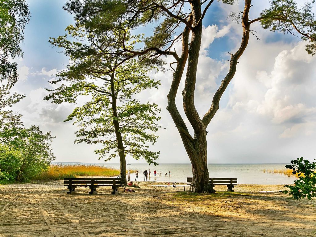 Badestrand an der Müritz (800 m entfernt)