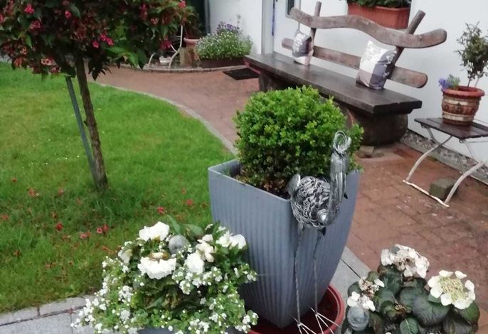 3-Raum-Ferienhaus (max 4 Pers, 55m²) mit Gartenterrasse Bild 2