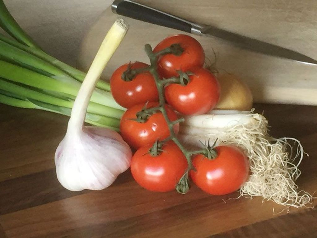 Hier macht das Kochen auch im Urlaub Spaß.