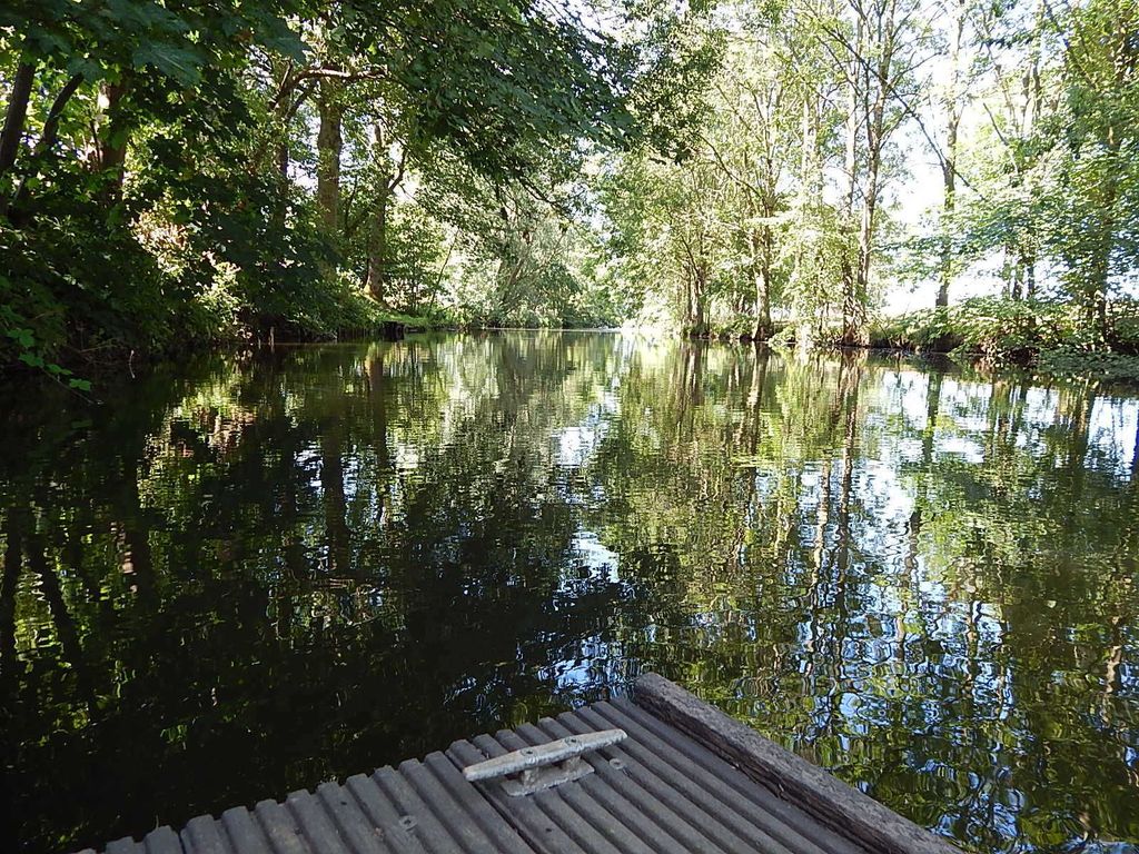 Unser Steg an der Bekau mit Badeleiter