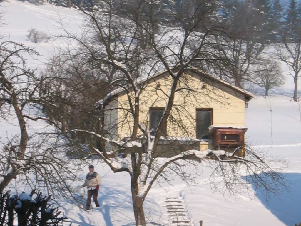 Winter ums Hotel