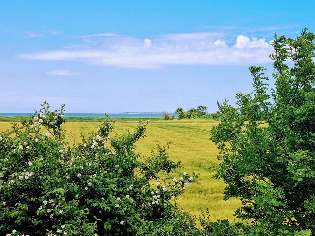 wunderschöner blick auf Amrum