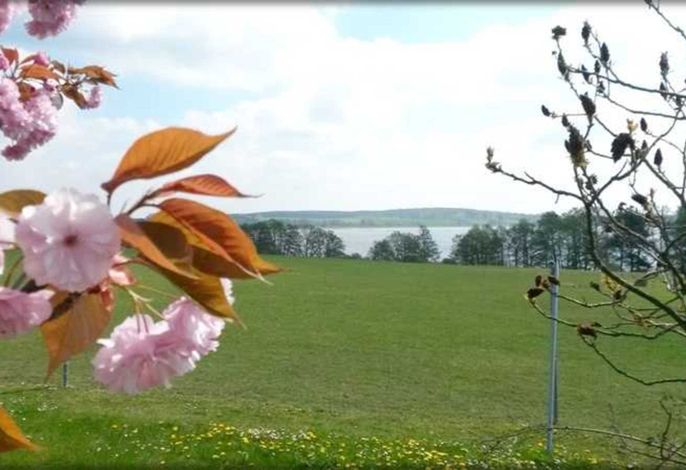 Hauptbild