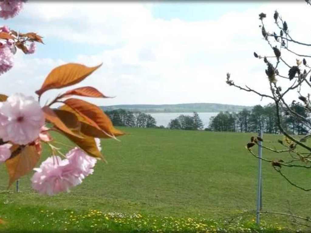 Ausblick