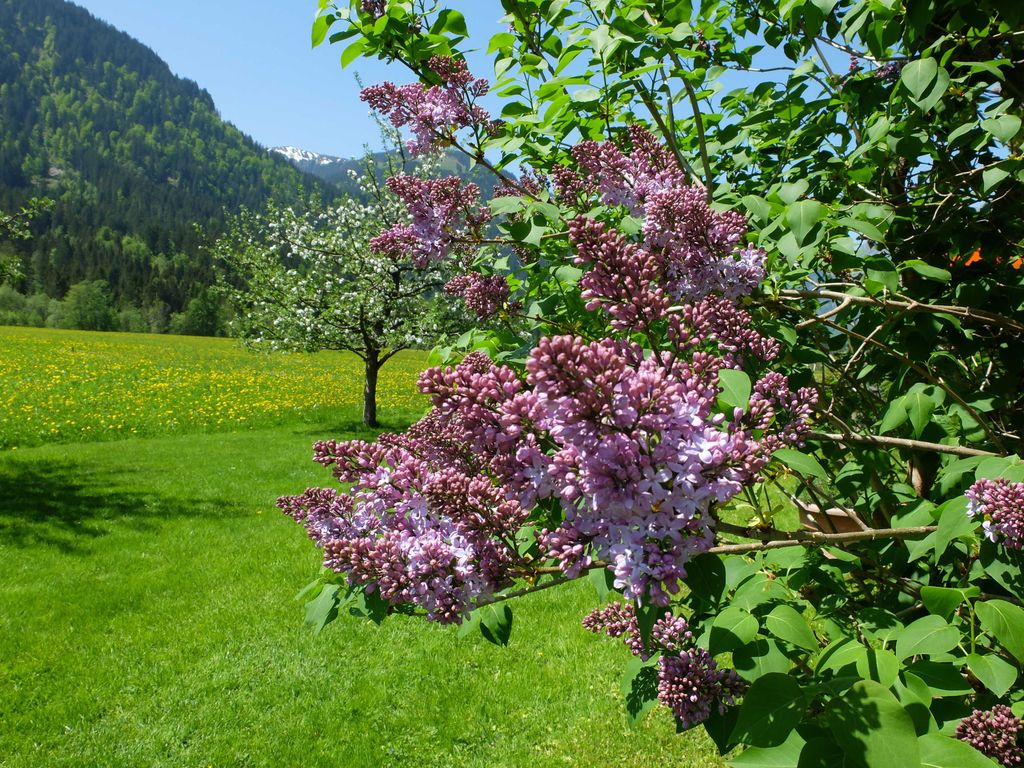 Pension Oberhauser