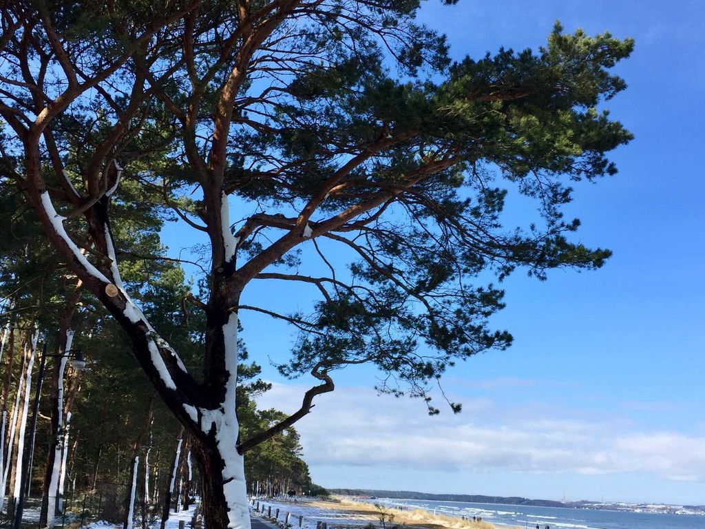 Promenade im Schnee