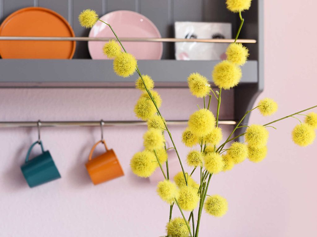 Wohnzimmer mit integriertem Küchenbereich