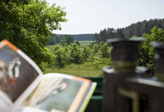 Bild 12