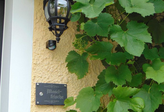 Bild 21