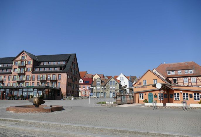 Bild 7