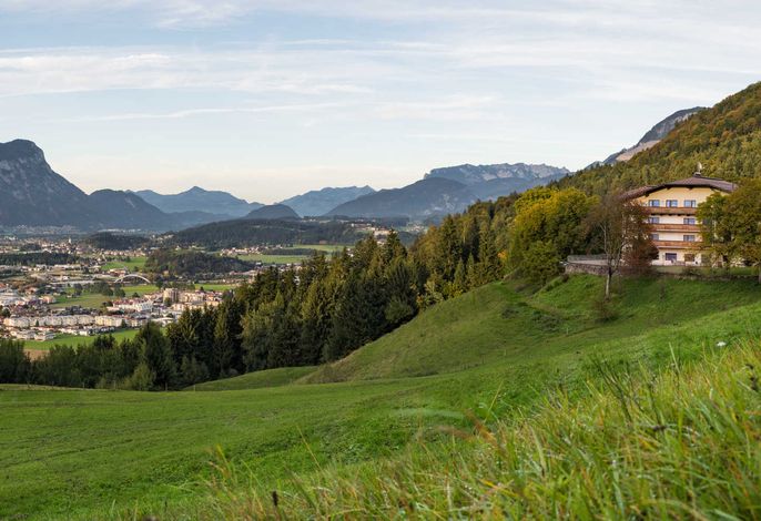 Bild 19