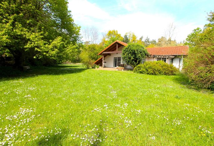 >Haus am Wald Nr. 2< idyllisch ruhig im Naturschutzgebiet