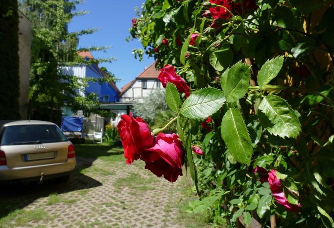 Bild 7