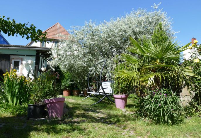 Bild 6