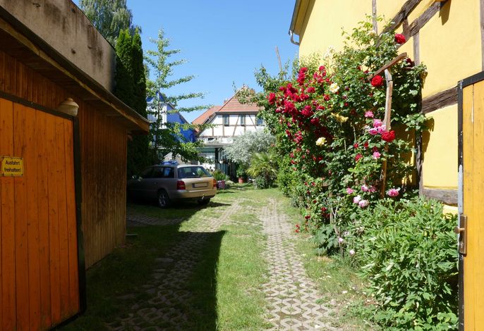 Bild 8
