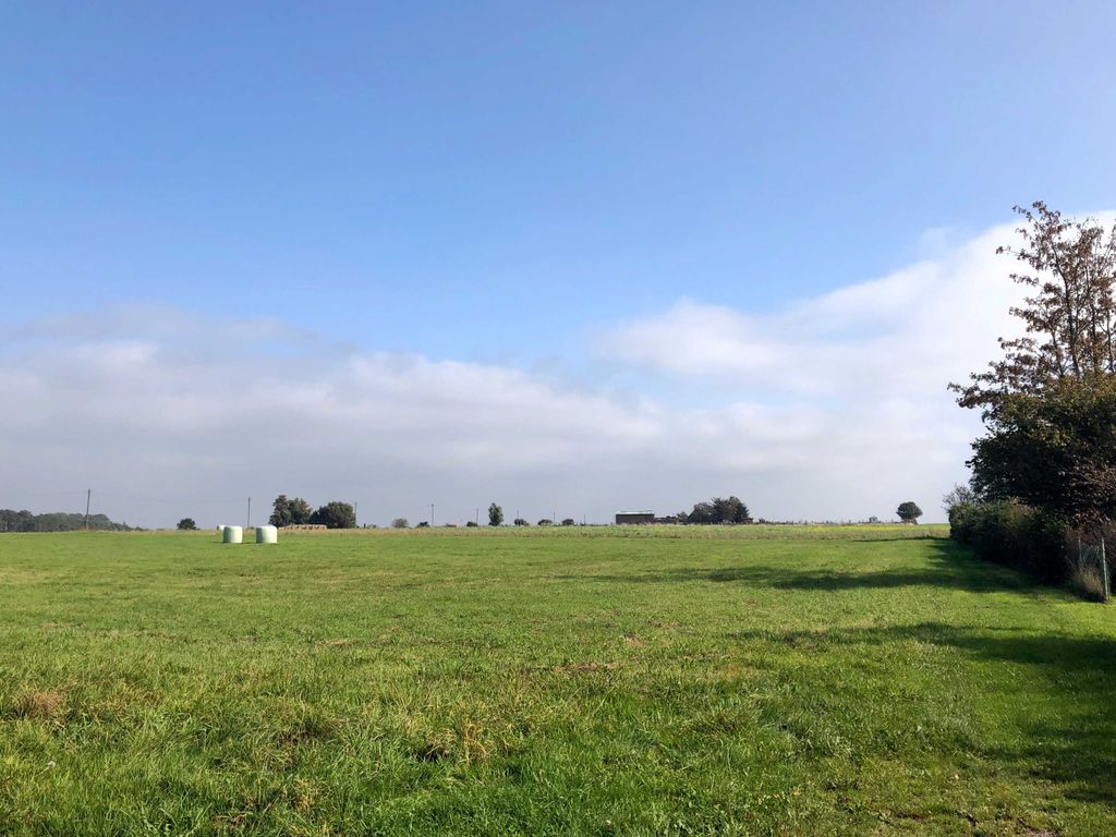 Landschaft