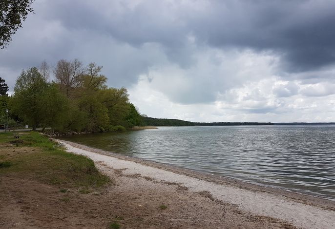 Plauer See