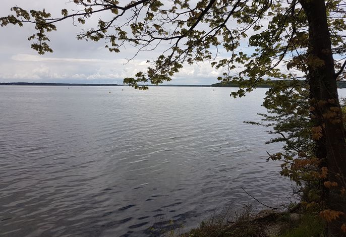 Plauer See