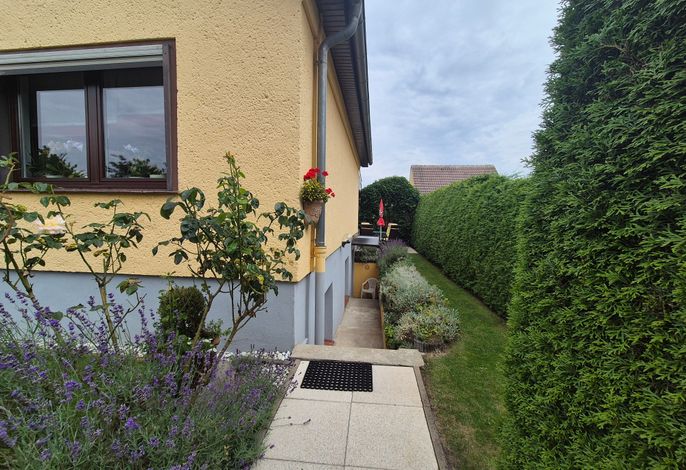 Bild 12