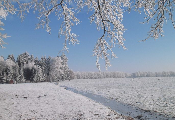 Bild 13