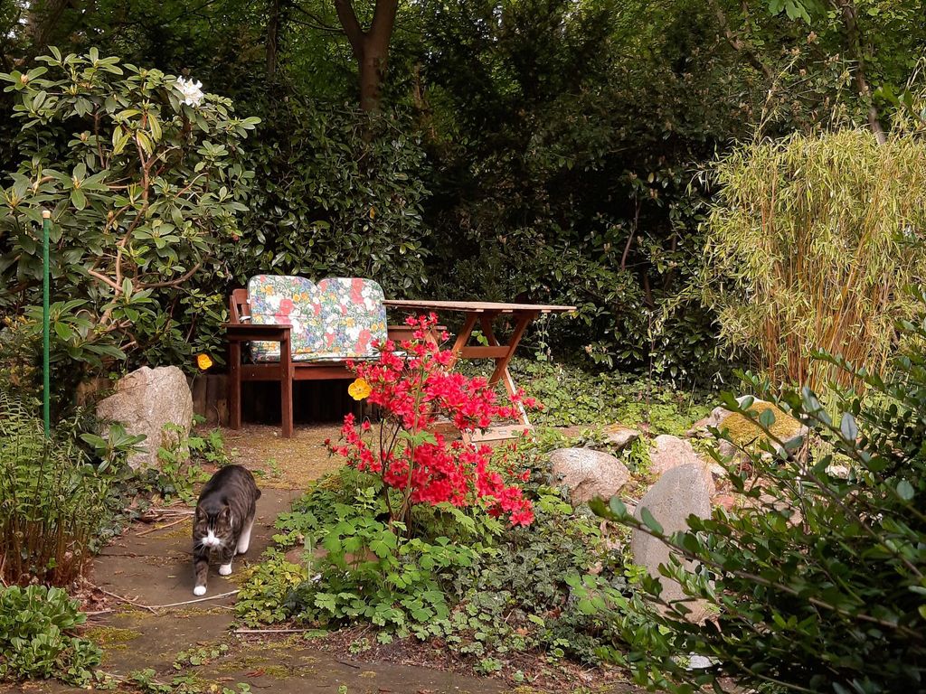 Sitzplatz im Garten für Atelier 3