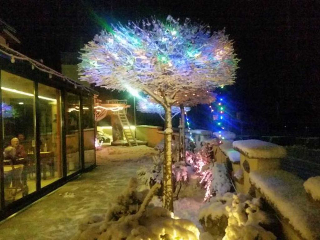 Blick in den Wintergarten