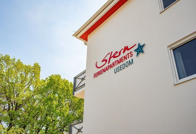 Dünengras Bild 2