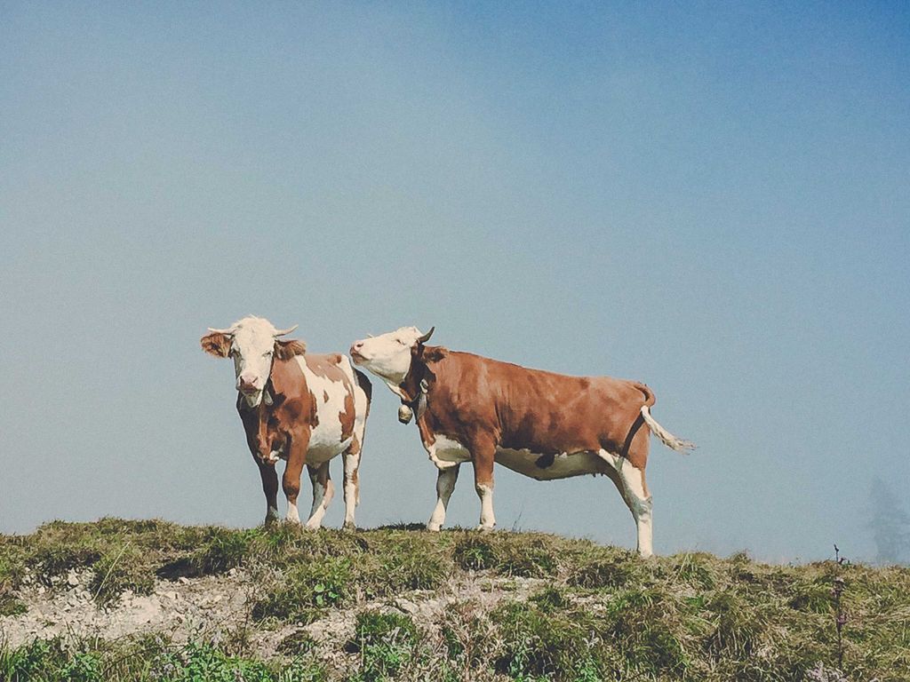 Natur.