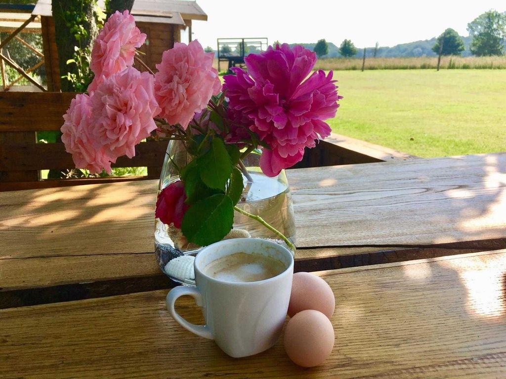 Morgenkaffee in der Landidylle am Ferienhaus