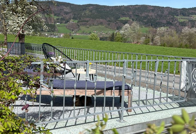 Bild 16