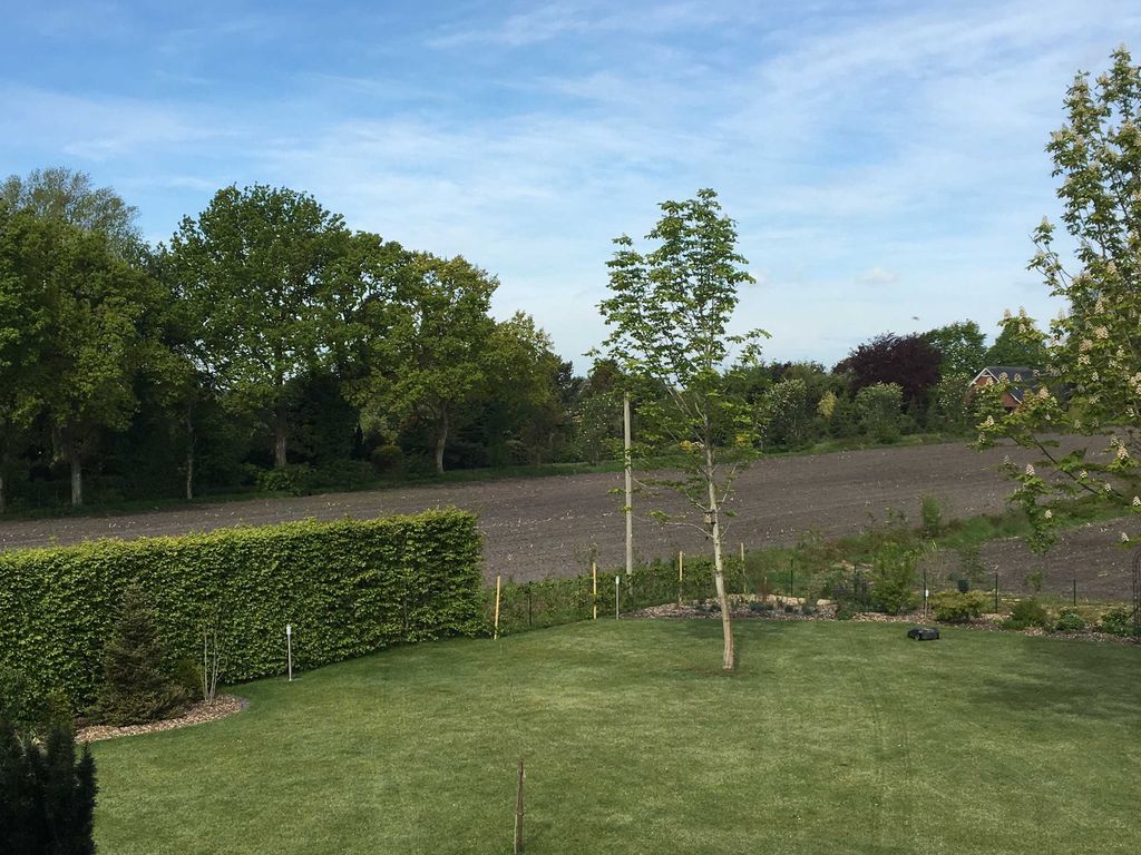 Aussicht ins Grüne