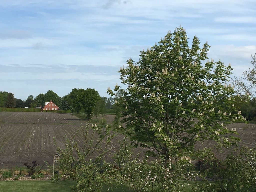 Aussicht ins Grüne