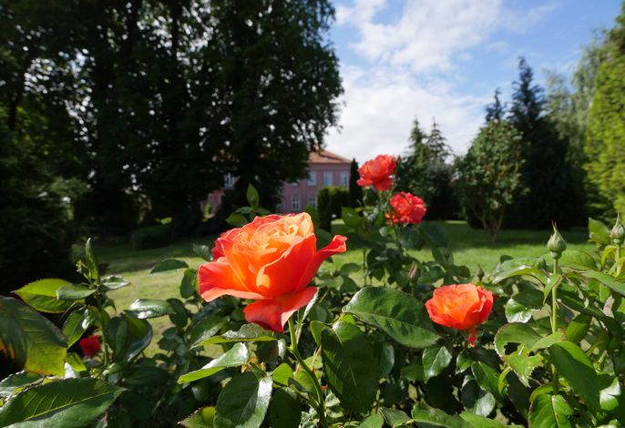 Bild 14