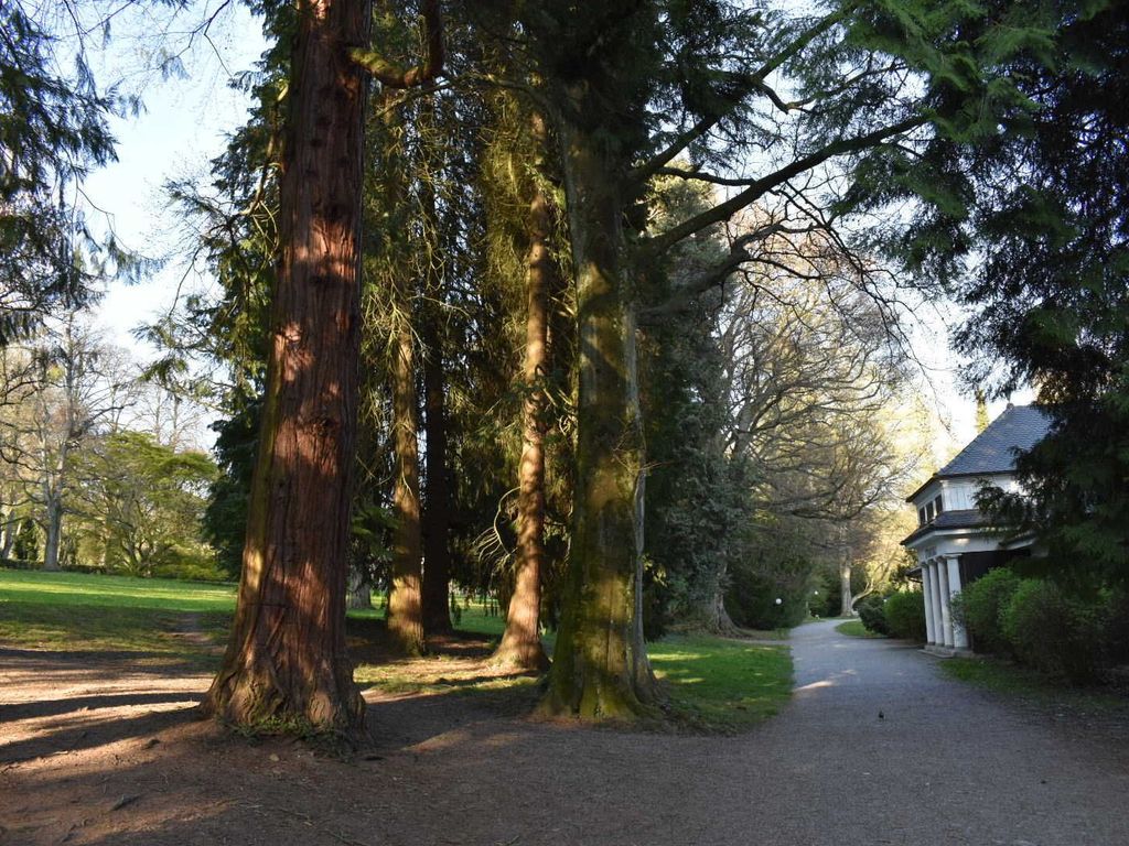 Lindenhofpark, perfekt zum spazieren und joggen