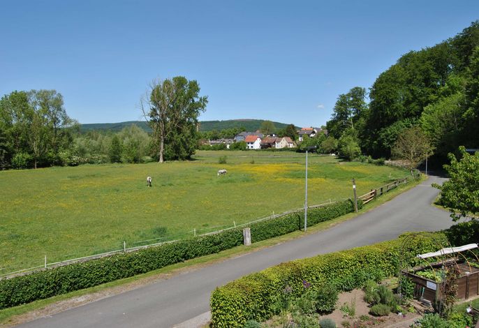 Bild 15