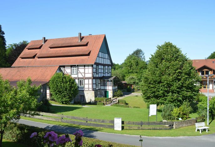 Bild 14