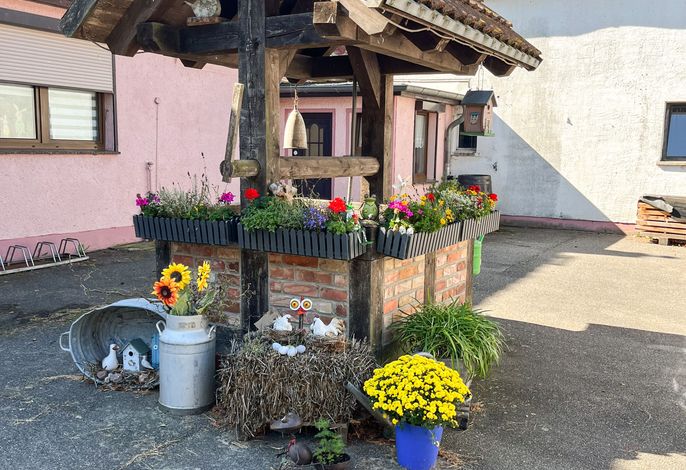 Bild 14