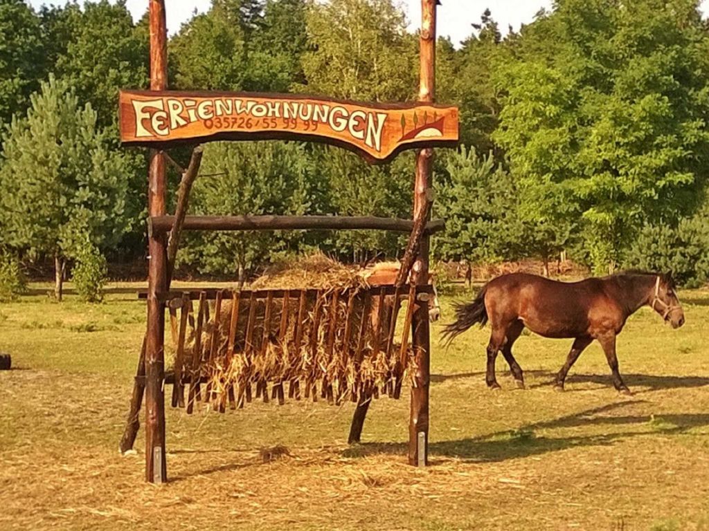 Auf dem Gelände