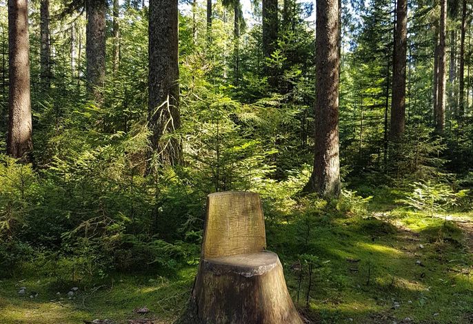 Bild 14