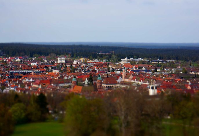 Bild 11