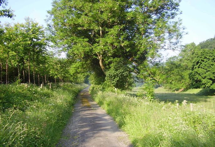 Bild 14